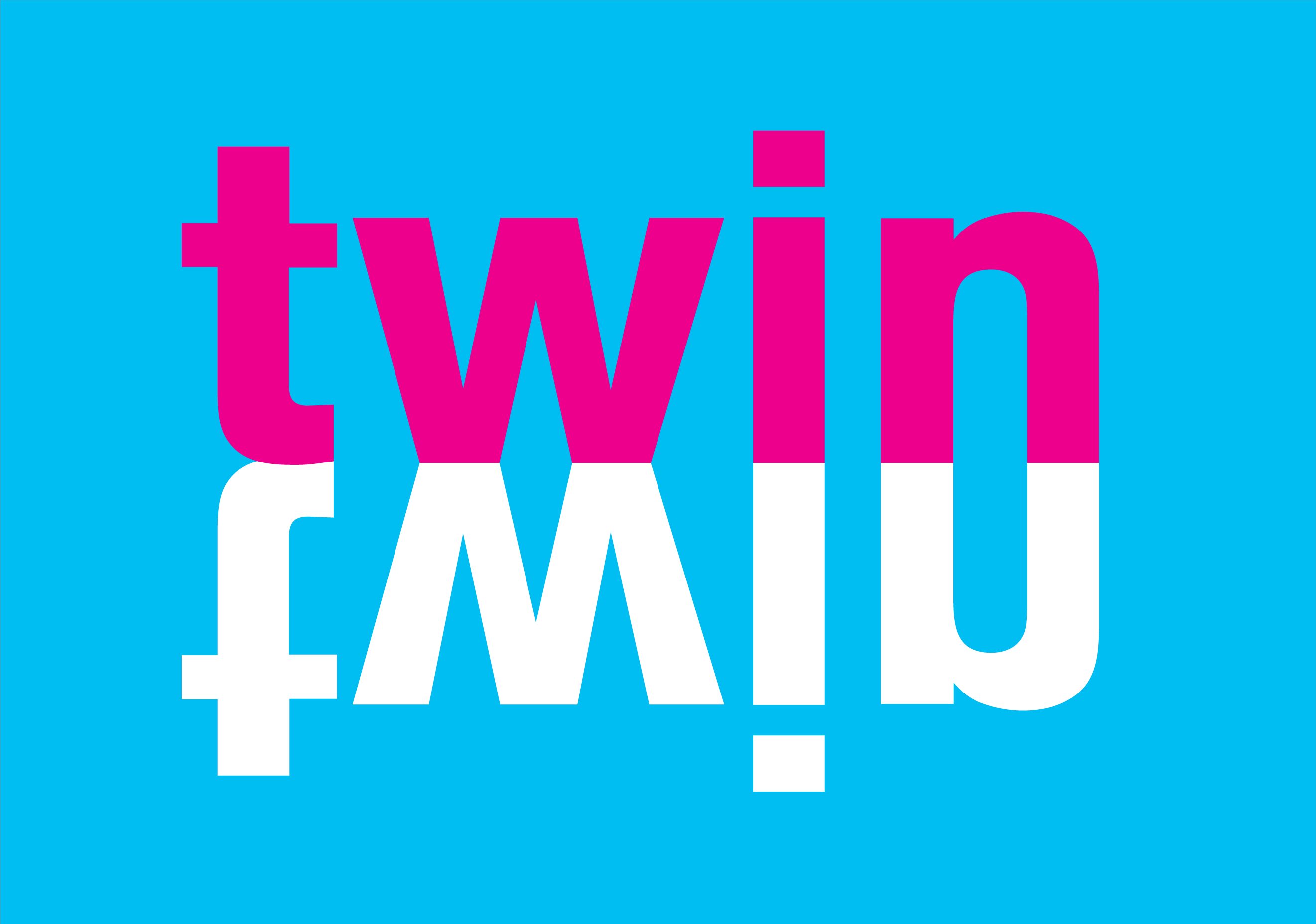Twin Design + Art Direction
